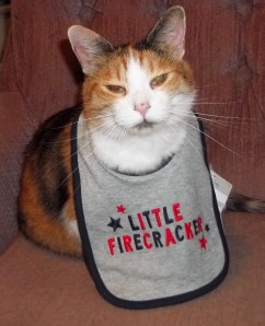 You woke me up for this?