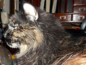 Louise, The Queen of Everything