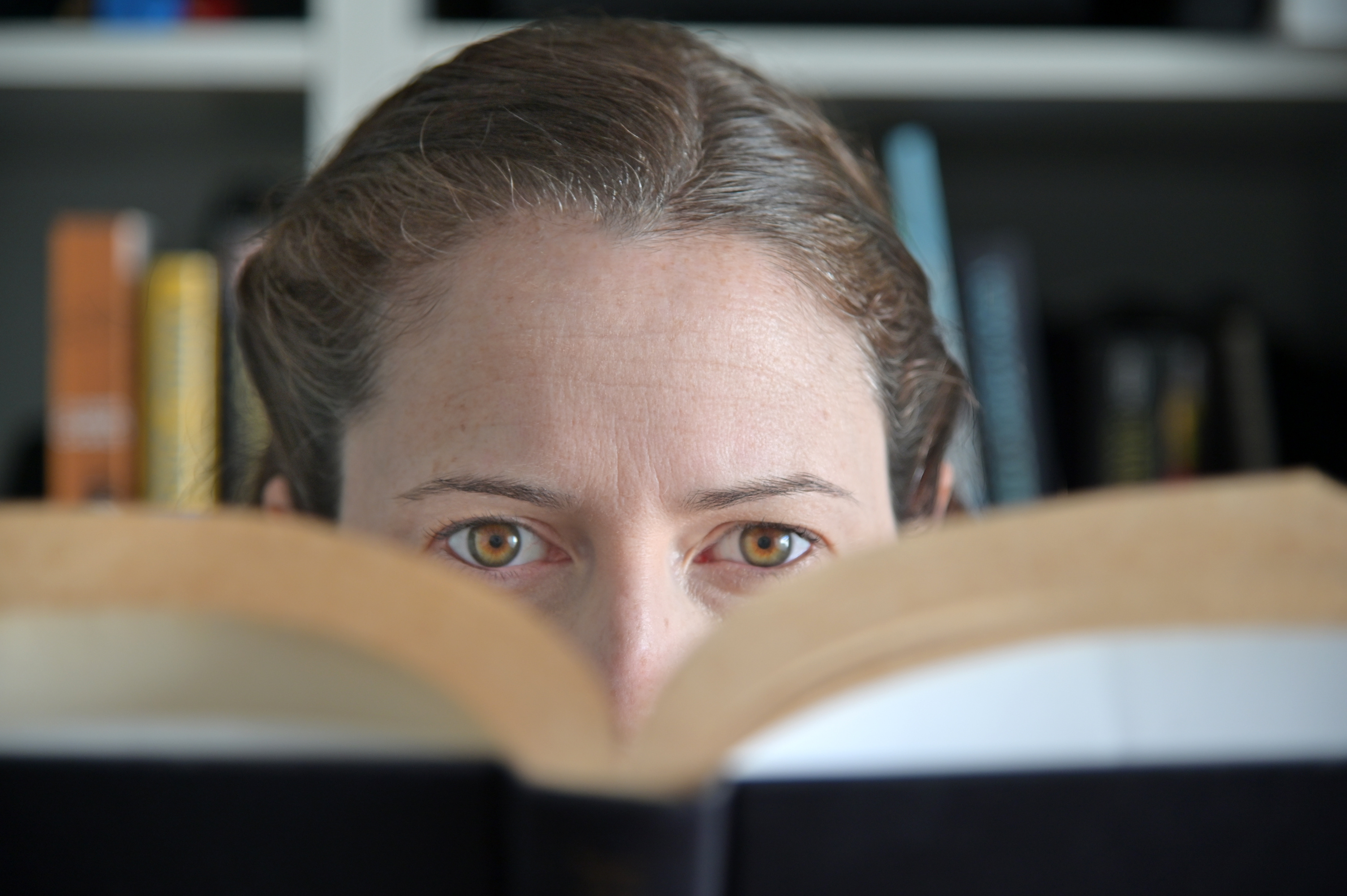 Librarians’ Choices | But I Digress