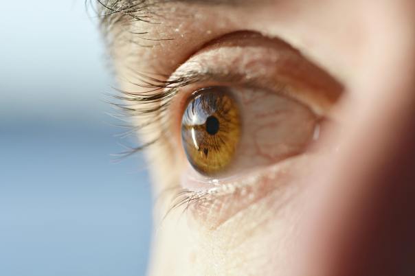 The Eye Has It | But I Digress